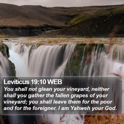 Leviticus 19:10 WEB Bible Verse Image