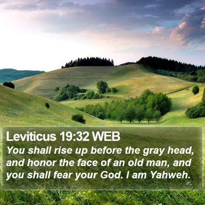 Leviticus 19:32 WEB Bible Verse Image