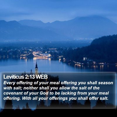 Leviticus 2:13 WEB Bible Verse Image