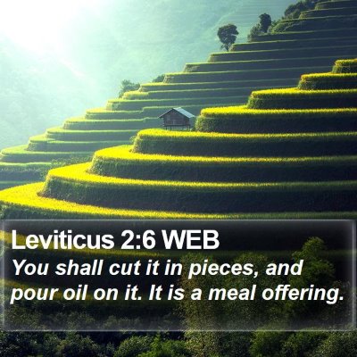 Leviticus 2:6 WEB Bible Verse Image