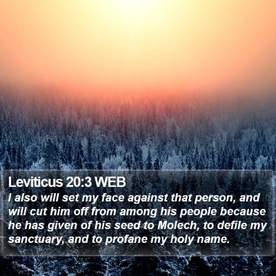 Leviticus 20:3 WEB Bible Verse Image