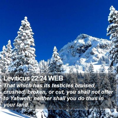 Leviticus 22:24 WEB Bible Verse Image