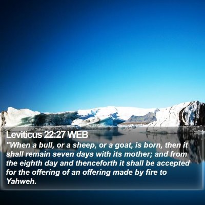 Leviticus 22:27 WEB Bible Verse Image