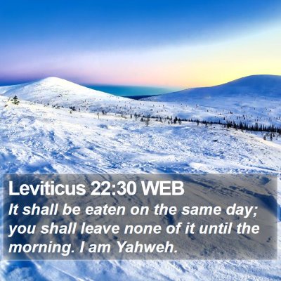 Leviticus 22:30 WEB Bible Verse Image