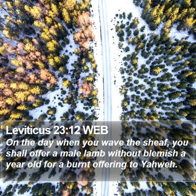 Leviticus 23:12 WEB Bible Verse Image