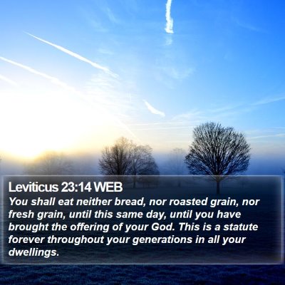 Leviticus 23:14 WEB Bible Verse Image