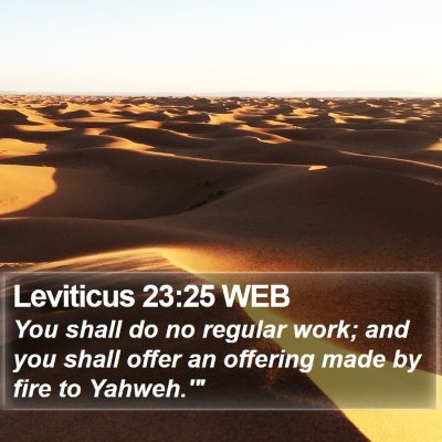 Leviticus 23:25 WEB Bible Verse Image