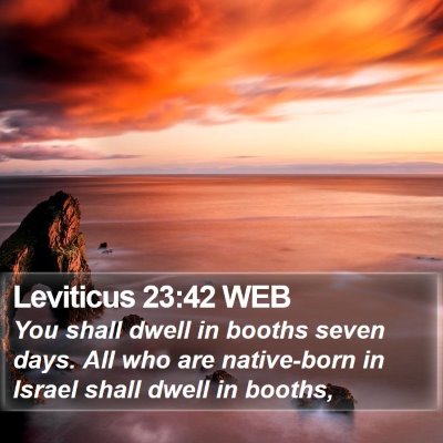 Leviticus 23:42 WEB Bible Verse Image