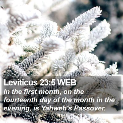 Leviticus 23:5 WEB Bible Verse Image