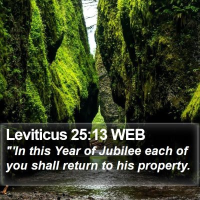 Leviticus 25:13 WEB Bible Verse Image