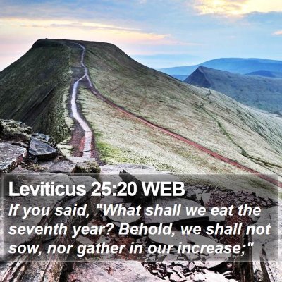Leviticus 25:20 WEB Bible Verse Image