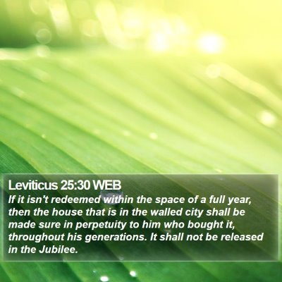 Leviticus 25:30 WEB Bible Verse Image