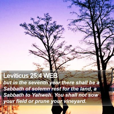 Leviticus 25:4 WEB Bible Verse Image