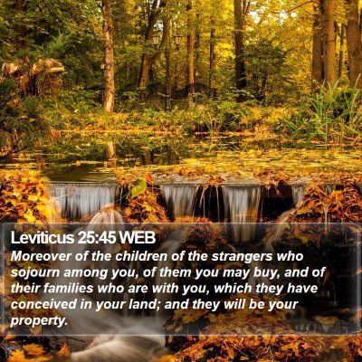 Leviticus 25:45 WEB Bible Verse Image