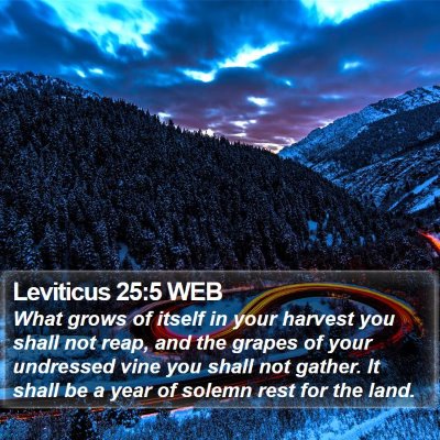 Leviticus 25:5 WEB Bible Verse Image