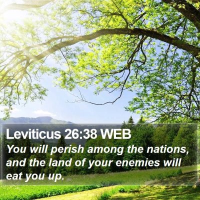 Leviticus 26:38 WEB Bible Verse Image