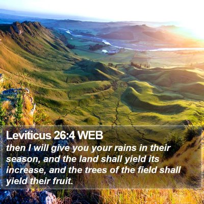Leviticus 26:4 WEB Bible Verse Image