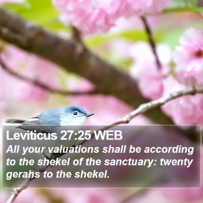 Leviticus 27:25 WEB Bible Verse Image