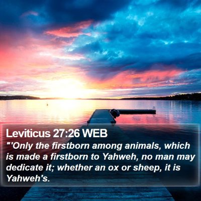 Leviticus 27:26 WEB Bible Verse Image