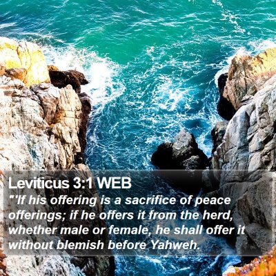 Leviticus 3:1 WEB Bible Verse Image