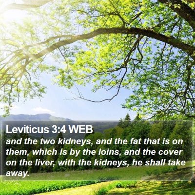 Leviticus 3:4 WEB Bible Verse Image