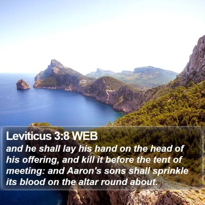 Leviticus 3:8 WEB Bible Verse Image