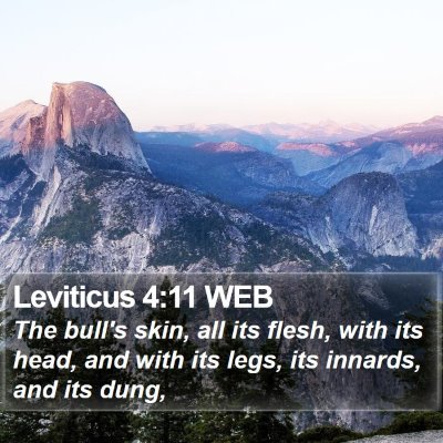 Leviticus 4:11 WEB Bible Verse Image