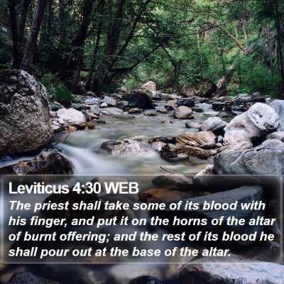 Leviticus 4:30 WEB Bible Verse Image