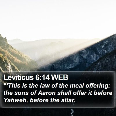 Leviticus 6:14 WEB Bible Verse Image