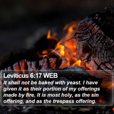 Leviticus 6:17 WEB Bible Verse Image