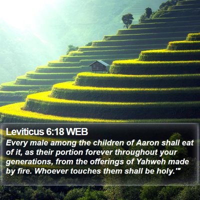 Leviticus 6:18 WEB Bible Verse Image