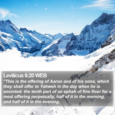 Leviticus 6:20 WEB Bible Verse Image