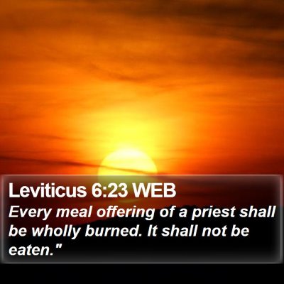 Leviticus 6:23 WEB Bible Verse Image