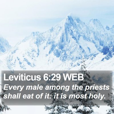 Leviticus 6:29 WEB Bible Verse Image