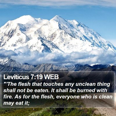 Leviticus 7:19 WEB Bible Verse Image