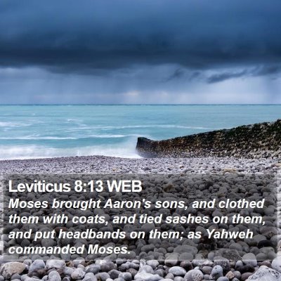 Leviticus 8:13 WEB Bible Verse Image