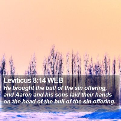 Leviticus 8:14 WEB Bible Verse Image