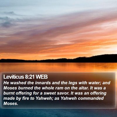 Leviticus 8:21 WEB Bible Verse Image