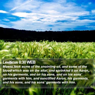 Leviticus 8:30 WEB Bible Verse Image