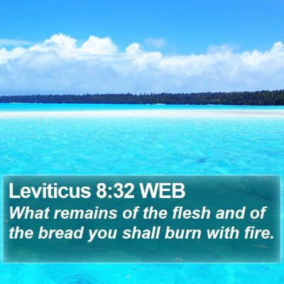 Leviticus 8:32 WEB Bible Verse Image