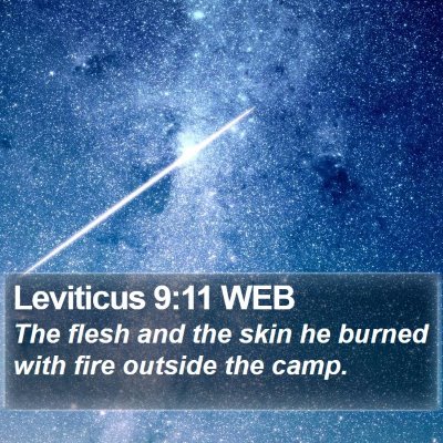 Leviticus 9:11 WEB Bible Verse Image