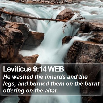 Leviticus 9:14 WEB Bible Verse Image