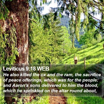 Leviticus 9:18 WEB Bible Verse Image