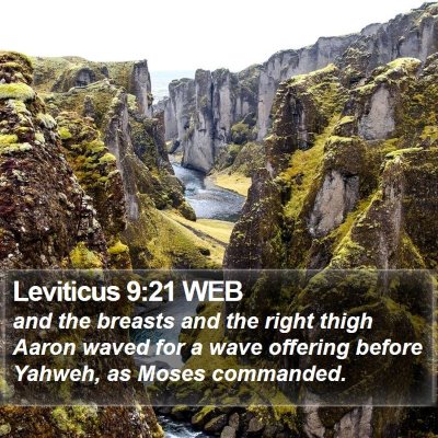 Leviticus 9:21 WEB Bible Verse Image