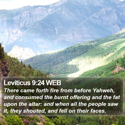 Leviticus 9:24 WEB Bible Verse Image
