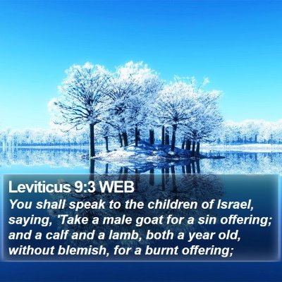 Leviticus 9:3 WEB Bible Verse Image