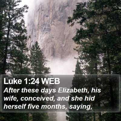 Luke 1:24 WEB Bible Verse Image