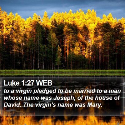 Luke 1:27 WEB Bible Verse Image