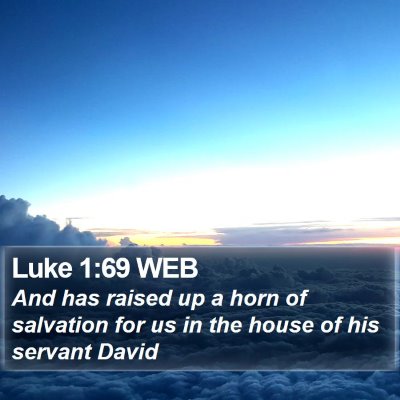 Luke 1:69 WEB Bible Verse Image