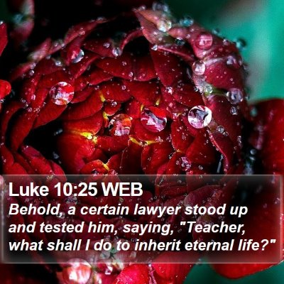 Luke 10:25 WEB Bible Verse Image